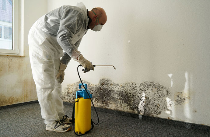 Mold Remediation Required