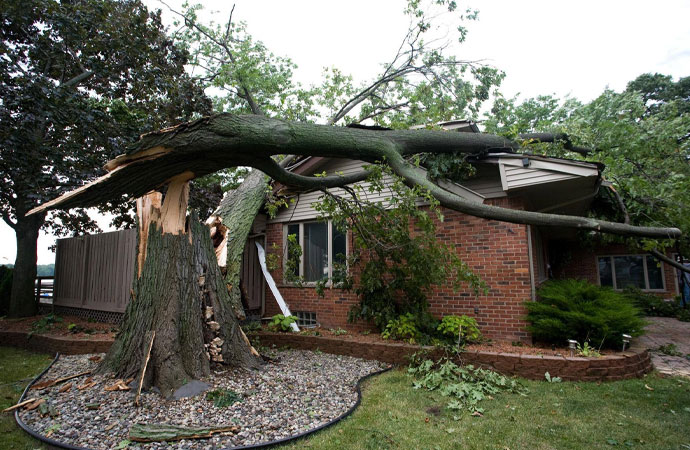 Storm Damage Restoration Services in Hayden