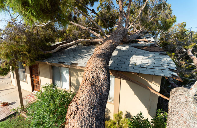 Storm Damage Restoration Services in Liberty Lake